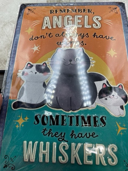 https://s3.amazonaws.com/lotting-images-prod/webster/WBS3268124_1756813533697.jpeg