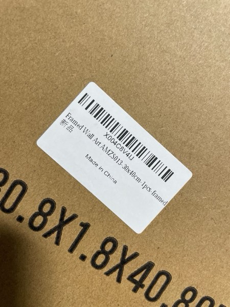 https://s3.amazonaws.com/lotting-images-prod/webster/WBS3280628_1760034226352.jpeg