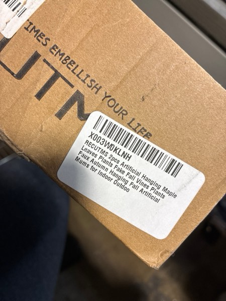 https://s3.amazonaws.com/lotting-images-prod/webster/WBS3282204_1760552332728.jpeg