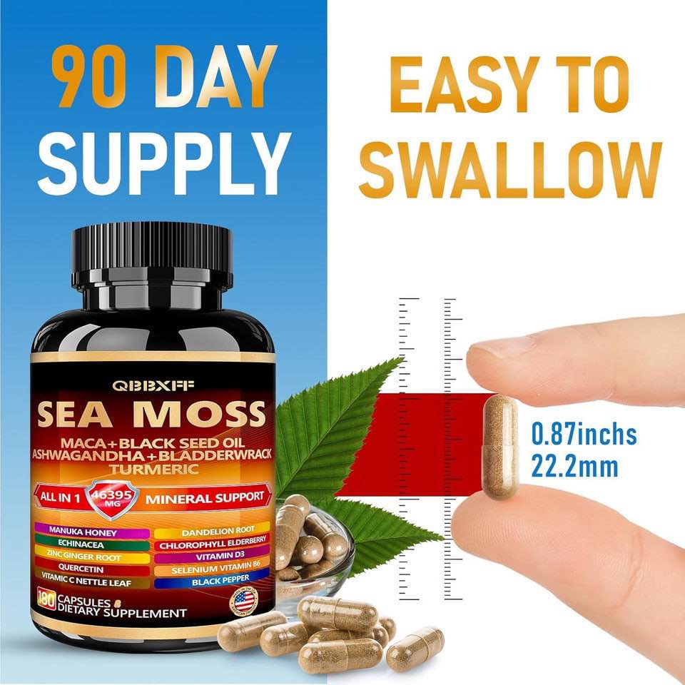 https://s3.amazonaws.com/lotting-images-prod/webster/WBS3283838_1761122283650.jpeg