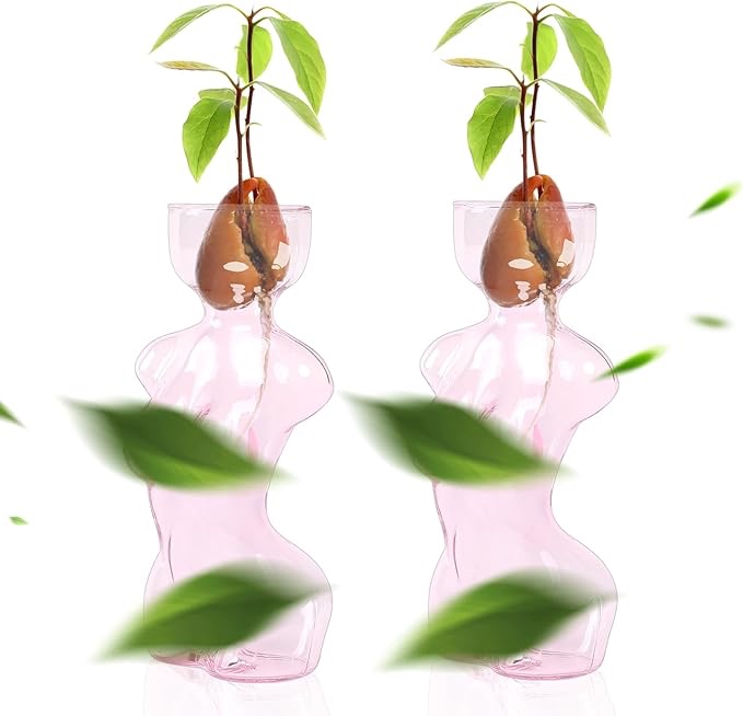 CYZglass Propagation Vases for Plants Plant Propagation Jars Unique Body Avocado Vase Glass Planter 