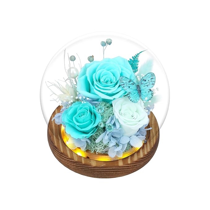 Preserved Flowers in Glass with LED Light — Flowers for Delivery Prime, Forever Roses Birthday Gifts for Women, for Mom (Tiffany Blue Rose, Light Green Rose)