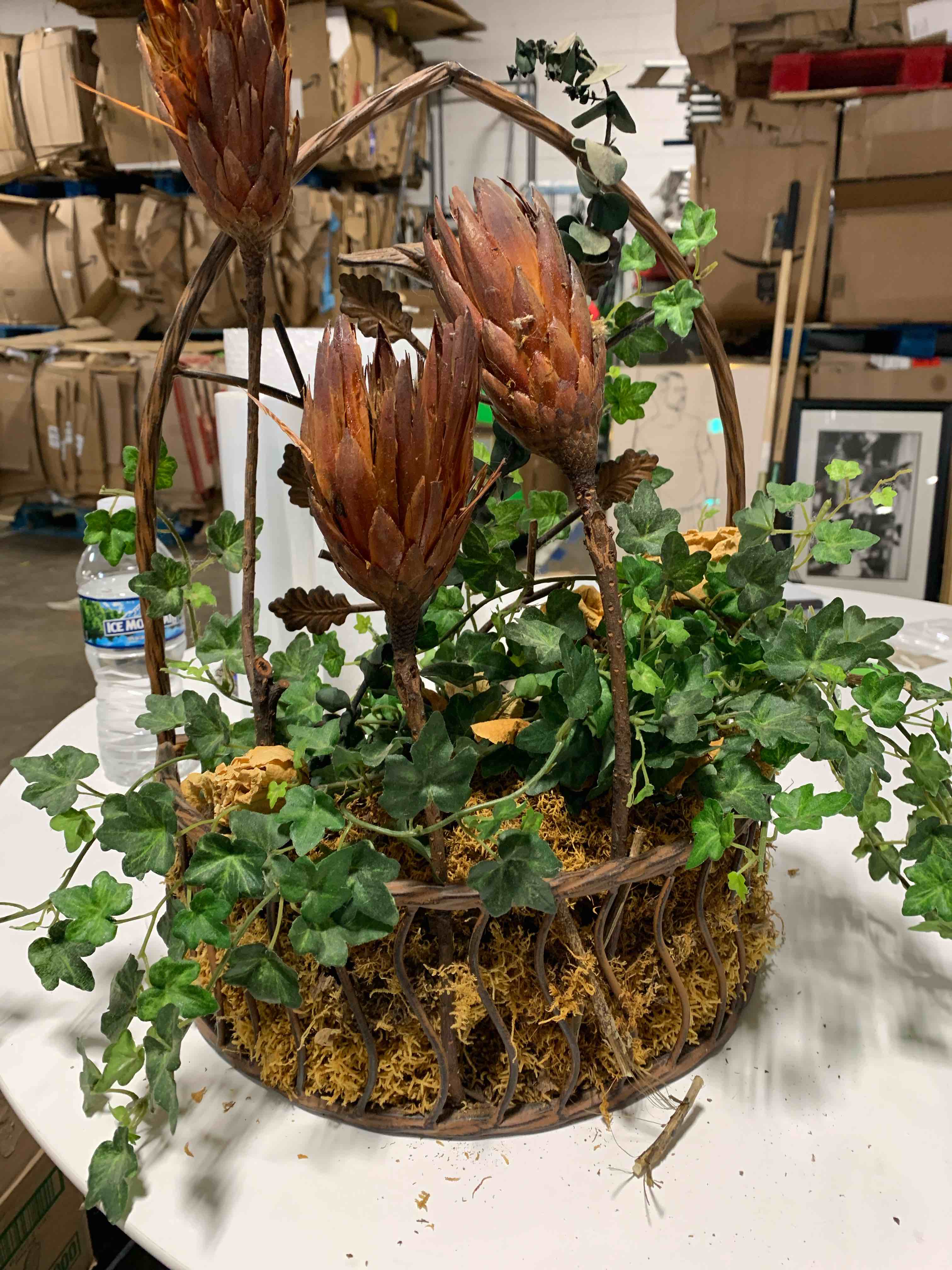 Webster Street Deals