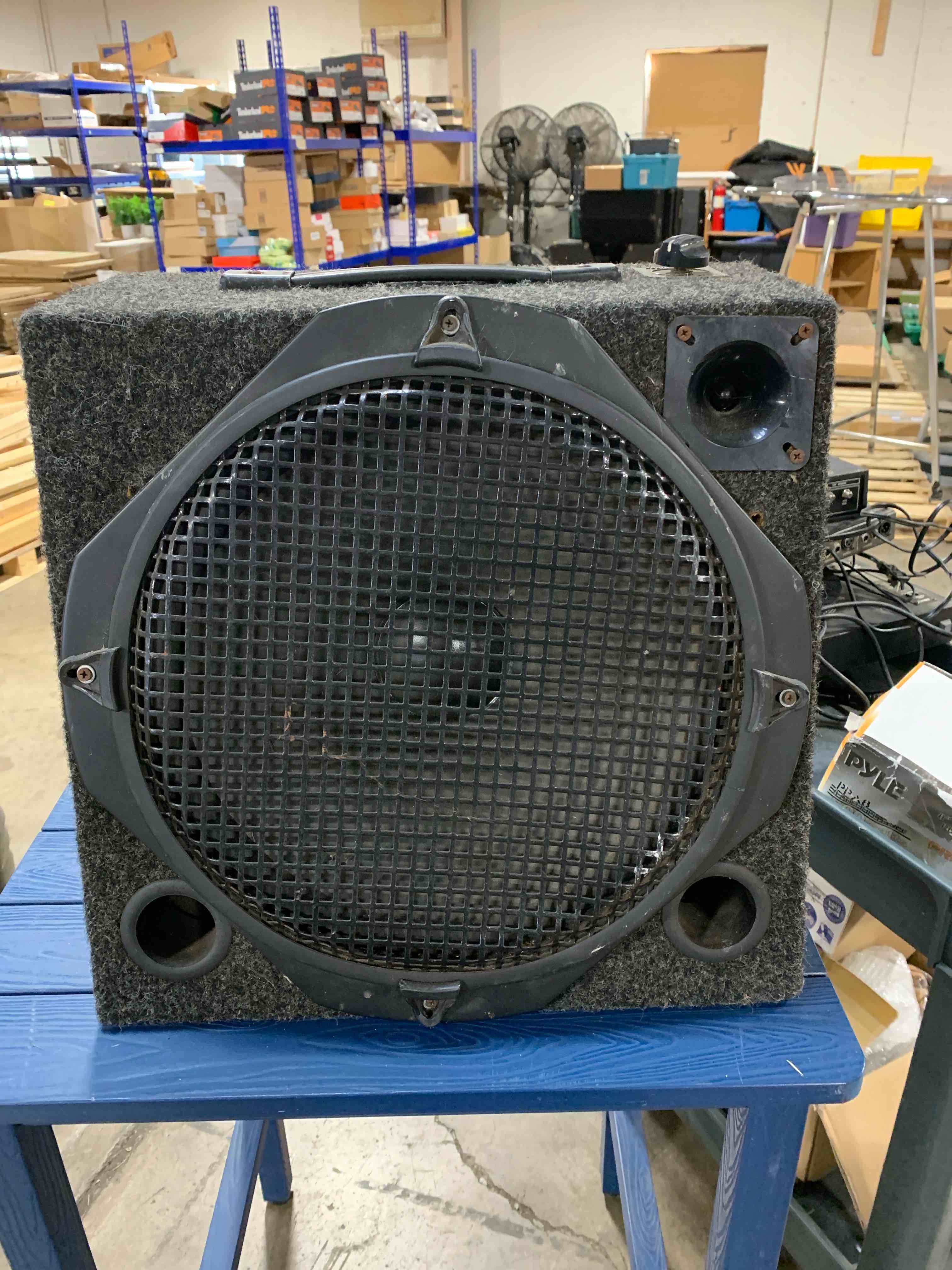 15in Stage Speaker