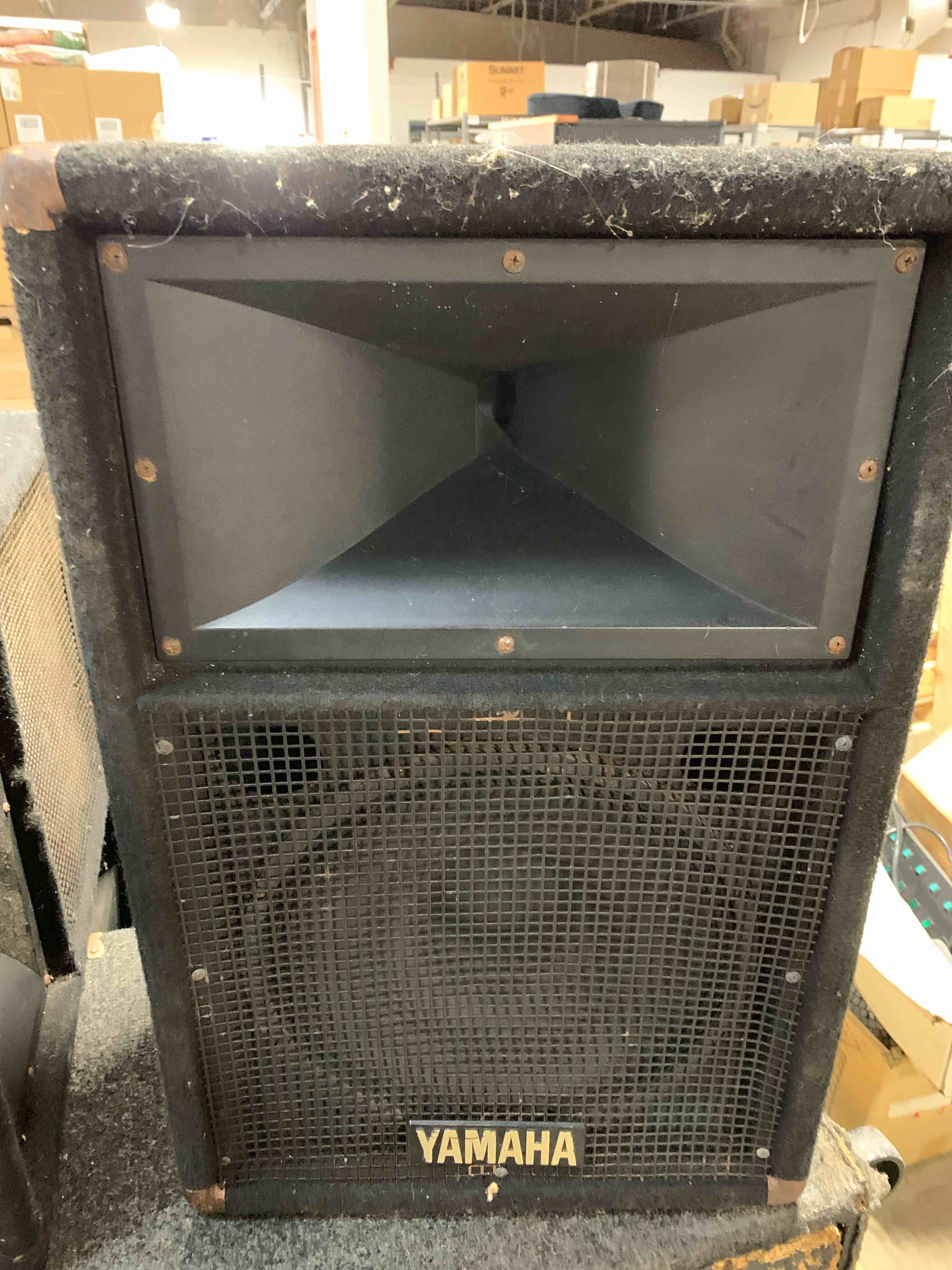 Yamaha SM12IY 12 In Concert Speaker