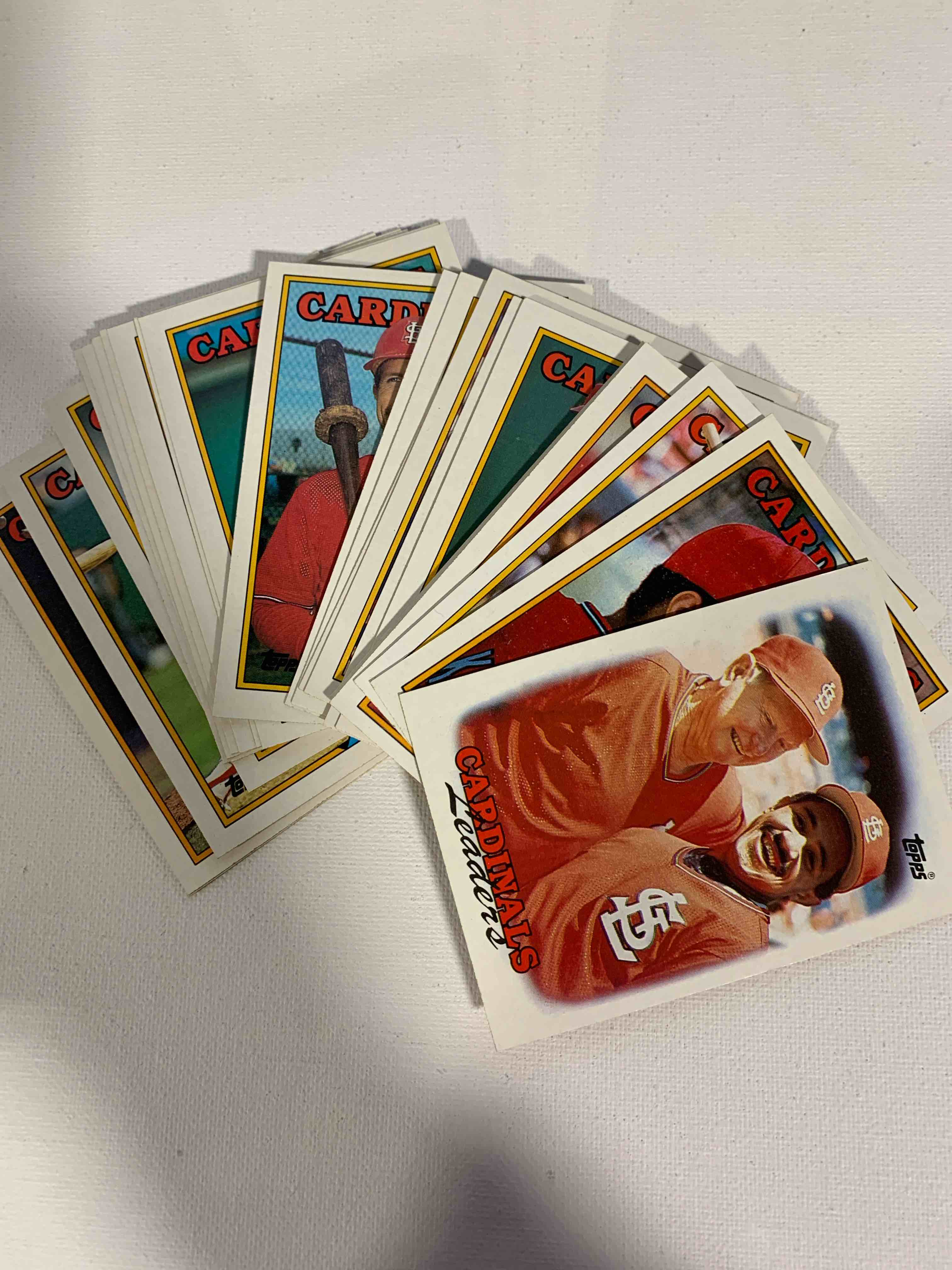 1987 St Louis Cardinals Team Leader Collection