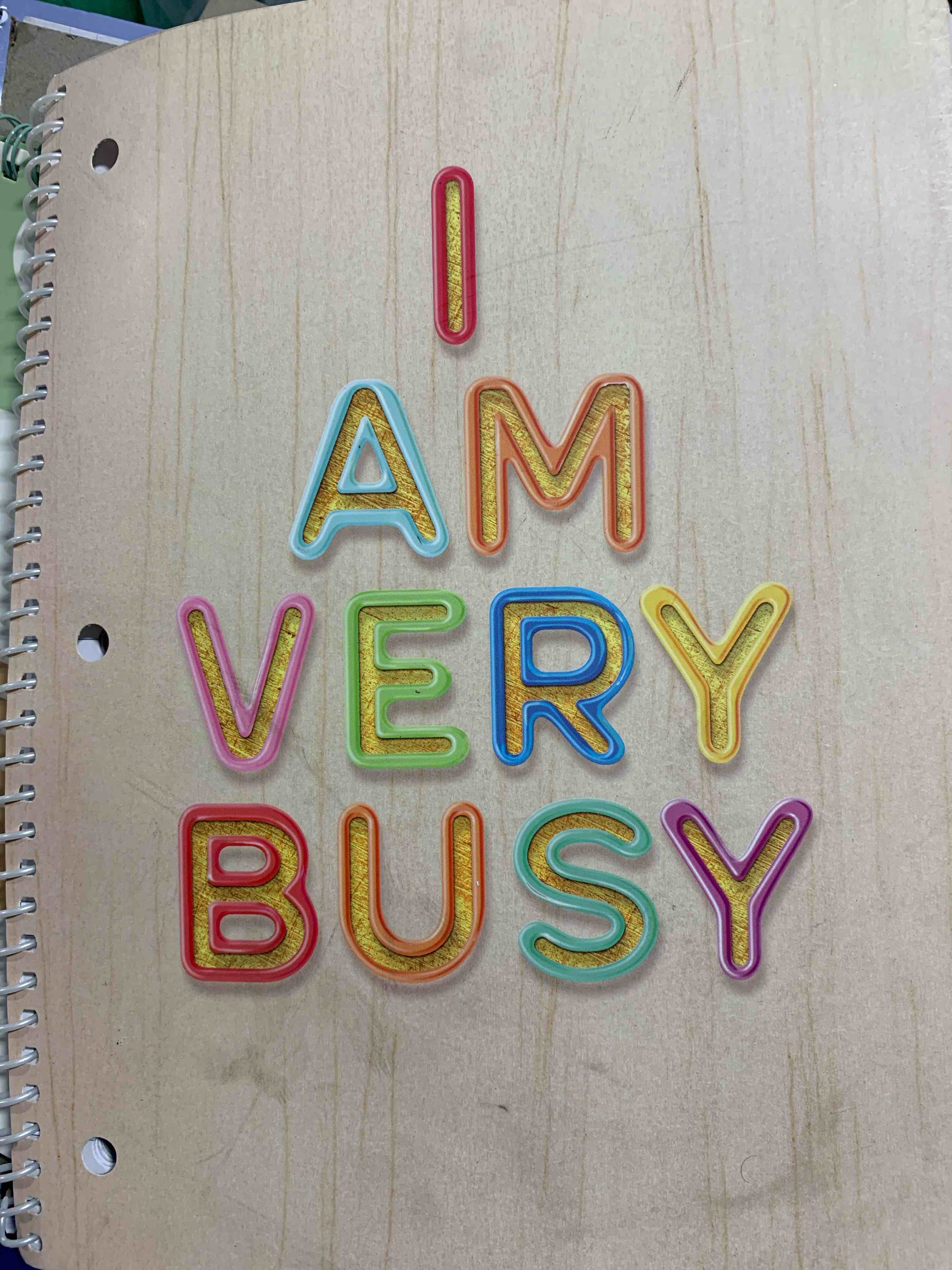 Condition photo showing New/Like New for Gartner Studios Wabi Sabi Pattern I Am Very Busy Spiral Notebook, School Supplies