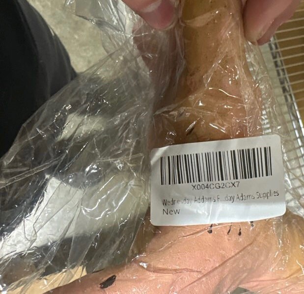 Wednesday Addams Family Halloween Decoration