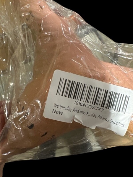 Wednesday Addams Family Halloween Supplies