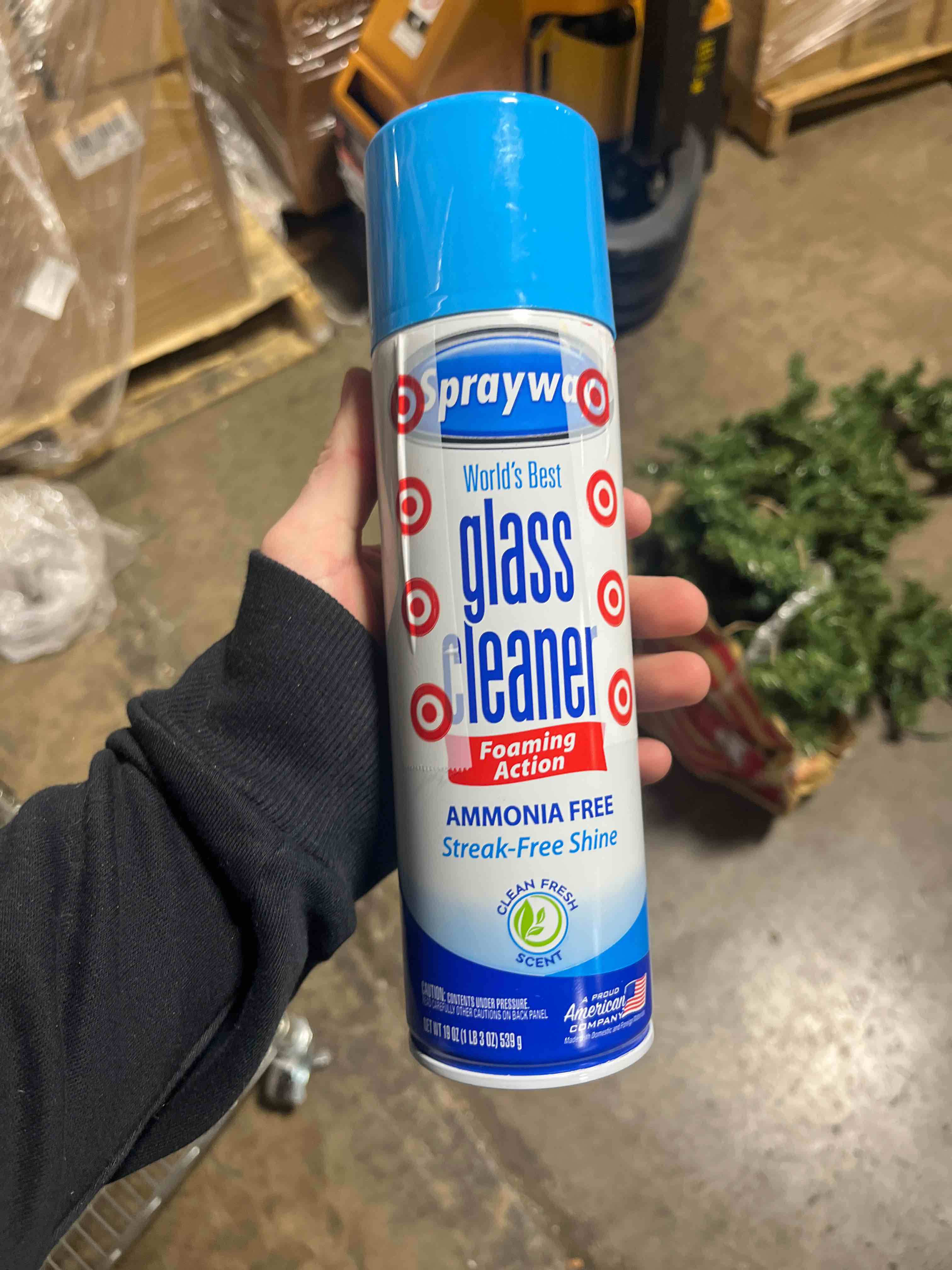 Sprayway Glass Cleaner Ammonia Free Aerosol - 19oz