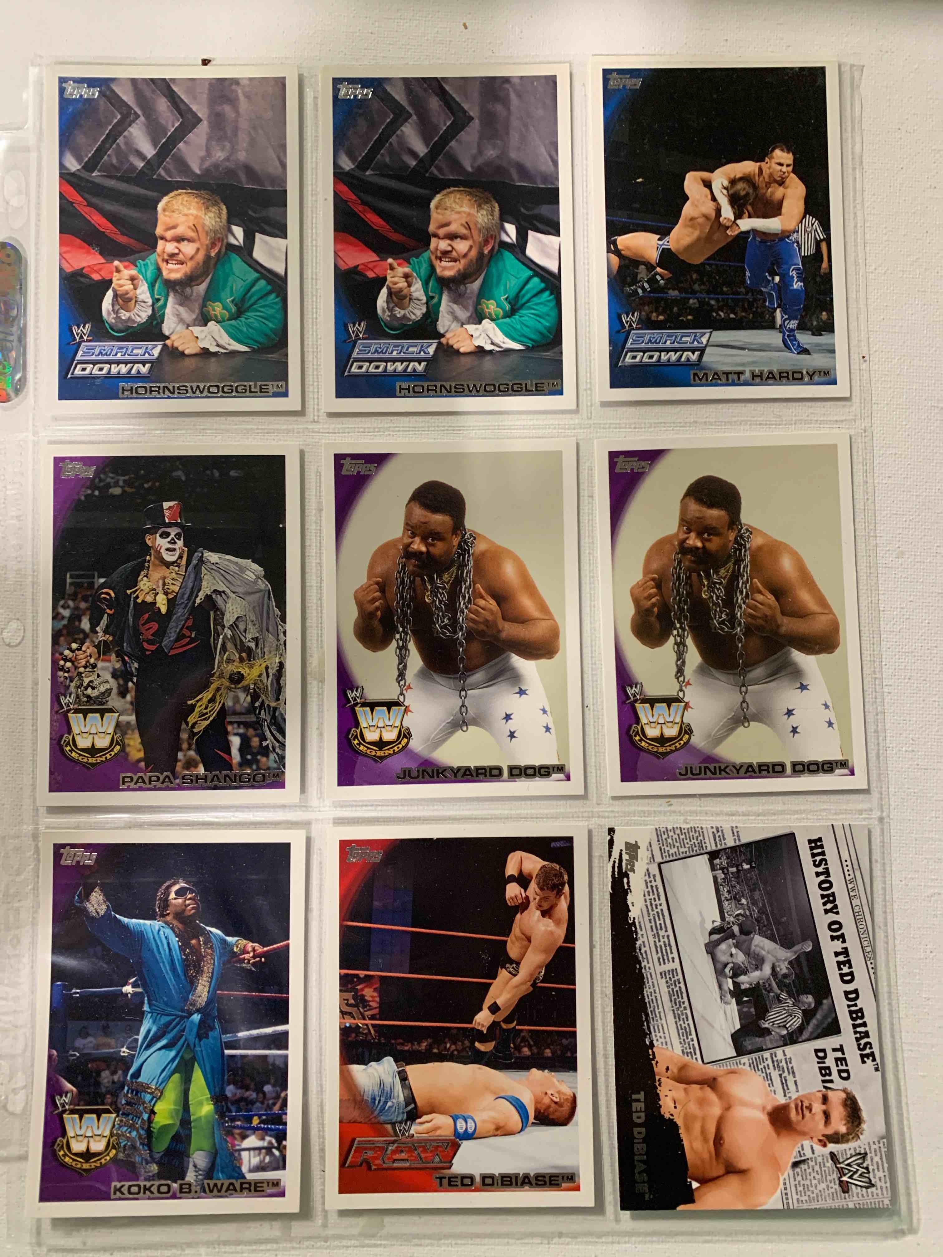 Webster Street Card Show 