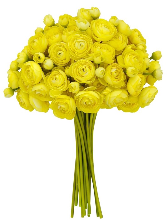VIKINGS PANDA 24 Pcs Ranunculus Yellow Artificial Flowers 10.5", Mini Faux Silk Ranunculus with Stem, Fake Flowers for Home Decor Indoor Wedding Bouquets Centerpieces (Light Yellow)