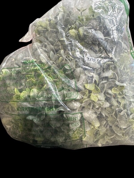 Artificial Greenery Plants Stems Outdoor Fake Plants