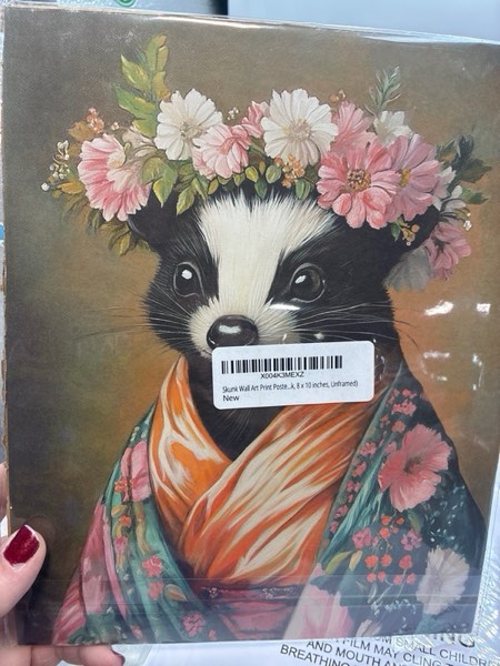 Condition photo showing New/Like New for Skunk Wall Art Print Poster, Kimono Bathroom Dressing Room Decor Posters Prints for Restroom Home Picture Painting Artwork Gallery 5 (Skunk, 8 x 10 inches, Unframed) Skunk Unframed 10"L x 8"W