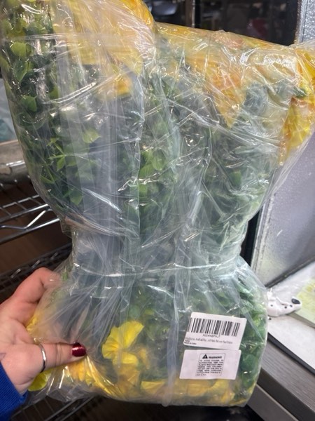 Condition photo showing New/Like New for Artificial Flowers for Outdoors 12 Bundles Fake Silk Morning Glory Spring Summer Decoration, UV Resistant Realistic Faux Flowers for Outside Front Door Porch Patio Planter Balcony Yard Yellow