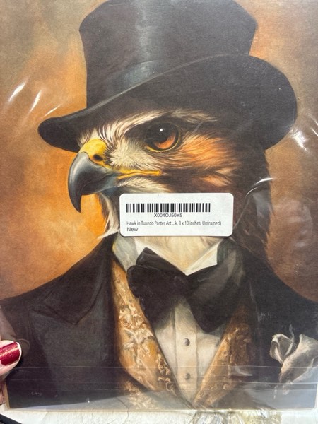 Condition photo showing New/Like New for Hawk in Tuxedo Poster Art Print, Bird Portraits Humor Wildlife Artwork Wall Art for Bedroom, Living Room Decor Prints Gallery 138 (Hawk, 8 x 10 inches, Unframed) Unframed 10"L x 8"W Hawk