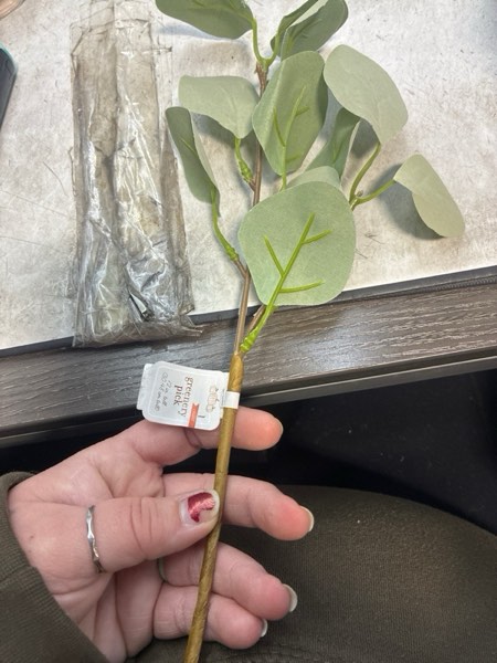 Condition photo showing New/Like New for 12 inch Green Silver Dollar Eucalyptus Greenery Pick