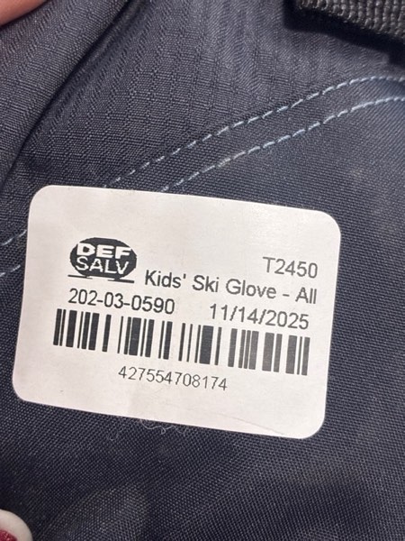 Condition photo showing New/Like New for Snow Gloves