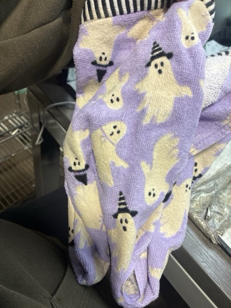 Condition photo showing New/Like New for 2pk Halloween Ghosts Glow in the Dark Hand Towel Set Purple - Hyde and EEK! Boutique™