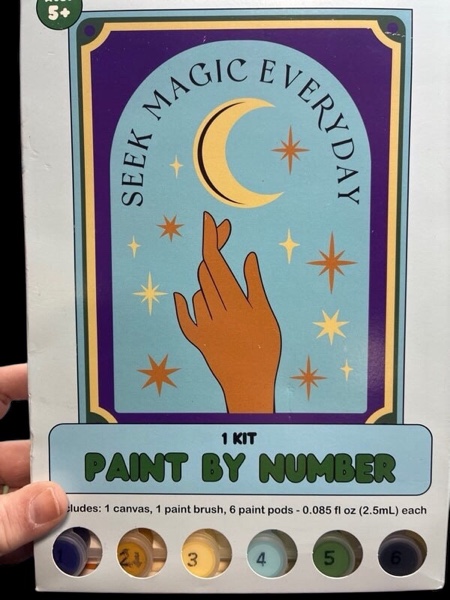 Seek Magic Everyday Paint by Number kit