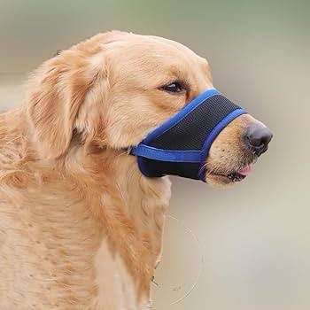 AiliStar Soft Dog Muzzle Mesh Pet Muzzle for Dogs Dog Muzzles with Closure Prevent for Biting Barking Chewing Black Blue Large