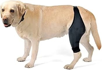 Dog Leg Sleeve Hindleg Sleeve Knee Cover Comfortable Neoprene Supplies
