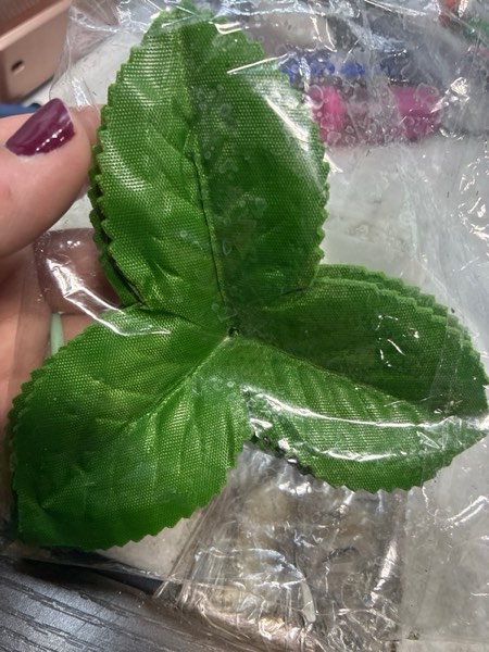 Condition photo showing New/Like New for 50PCS Artificial Green Leaves Fake Rose Leaves Decoration, Green Leave for Decoration, Flower Leave Greenery Faux Silk Fake Rose Flower Leaf, Roses Flowers Leaf for Party Decorations Bouquet Wedding