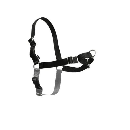 APDEXY Freedom No Pull Dog Harness, Easy Walker, Stop Pulling with Two Stainless D-Rings, Comfortable, Sewn-in Instructions Tags for Easy Use (Black, X-Small)