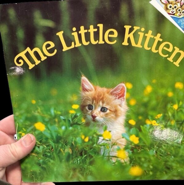 Condition photo showing Good Condition for The Little Kitten (Pictureback)