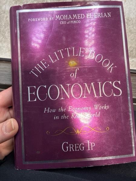 Condition photo showing Good Condition for The Little Book of Economics: How the Economy Works in the Real World (Little Books. Big Profits)