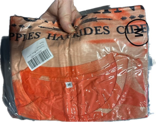 Condition photo showing New/Like New for Pumpkin Shirt — Women’s Farm Fresh Shirt, Pumpkins Graphic Tees, Casual Letter Printed T-Shirt, Halloween Fall Blouse (Medium)