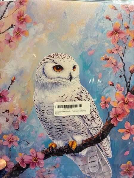 Condition photo showing New/Like New for Snowy Owl Wall Art Print Poster, Floral Bird Tree Branch Nature Bedroom Bathroom Restroom Decor 157B (Snowy Owl, 11x14 inches, Wood Frame)