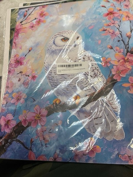 Condition photo showing New/Like New for Snowy Owl Wall Art Print Poster, Floral Bird Tree Branch Nature Bedroom Bathroom Restroom Decor 157B (Snowy Owl, 11x14 inches, Wood Frame)