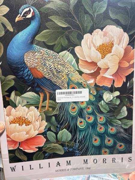 Condition photo showing New/Like New for Peacock Art Print Poster, William Morris Style Retro Floral Mid Century Botanical Victorian Dark Academia Flower Decor Gallery 148 (Peacock, 11 x 14 inches, Unframed)