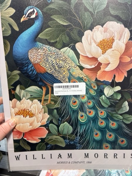 Condition photo showing New/Like New for Peacock Art Print Poster, William Morris Style Retro Floral Mid Century Botanical Victorian Dark Academia Flower Decor Gallery 148 (Peacock, 11 x 14 inches, Unframed)