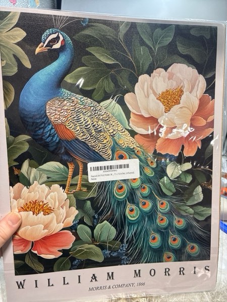 Condition photo showing New/Like New for Peacock Art Print Poster, William Morris Style Retro Floral Mid Century Botanical Victorian Dark Academia Flower Decor Gallery 148 (Peacock, 11 x 14 inches, Unframed)