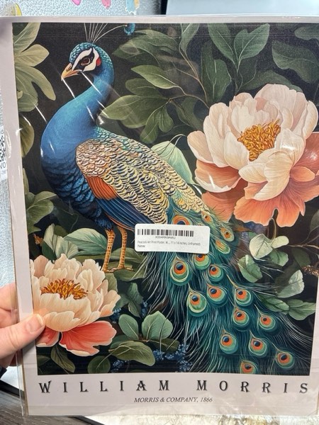 Condition photo showing New/Like New for Peacock Art Print Poster, William Morris Style Retro Floral Mid Century Botanical Victorian Dark Academia Flower Decor Gallery 148 (Peacock, 11 x 14 inches, Unframed)