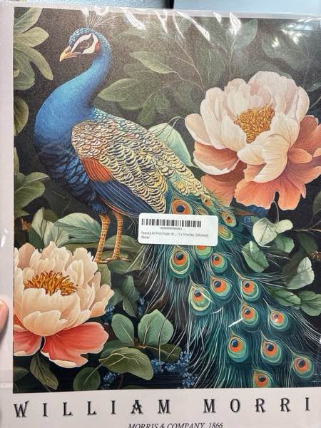 Condition photo showing New/Like New for Peacock Art Print Poster, William Morris Style Retro Floral Mid Century Botanical Victorian Dark Academia Flower Decor Gallery 148 (Peacock, 11 x 14 inches, Unframed)