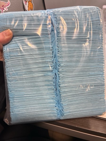 Condition photo showing New/Like New for (100 Pads) CalPalmy Ultra Absorbency Pet Toilet Training Pads 18" x 13" Moisture Locking Technology Turns Liquid into Gel - Perfect for Rabbits and Guinea Pigs 18"*13" 100