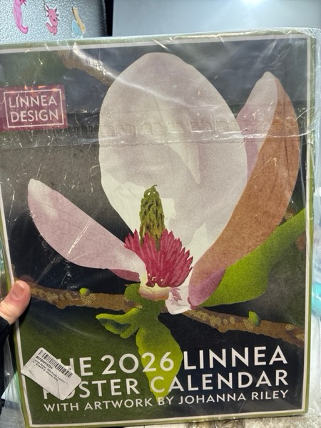 Condition photo showing New/Like New for Linnea Design 2026 Poster Calendar 11 x 14" Artwork by Johanna Riley