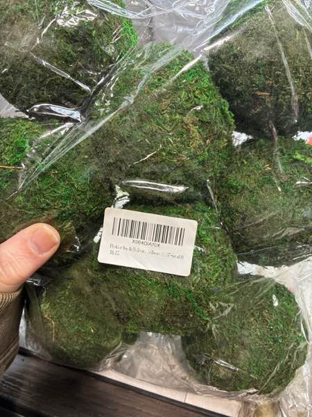 Condition photo showing New/Like New for Moss Balls Decorative for Bowls,Handmade Large Moss Decorative Balls for Vase Fillers Home Garden Party Wedding Patio Decors (3.55"-Set of 8)