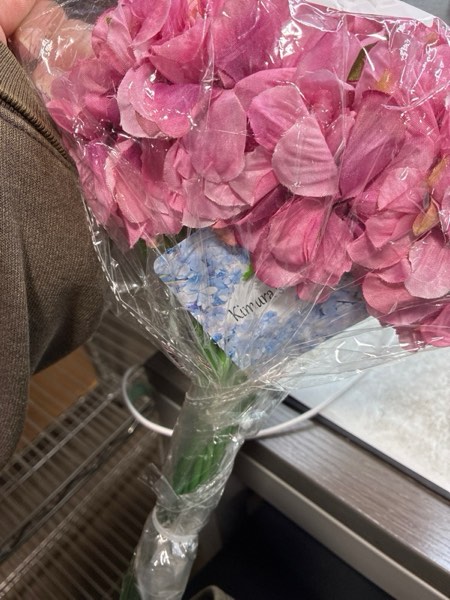 Condition photo showing New/Like New for Kimura's Cabin Artificial Flowers Silk Hydrangea Chrysanthemum Ball Flowers Arrangements Bouquets 21Pcs for Home Dining Table Core Party Wedding Decoration 