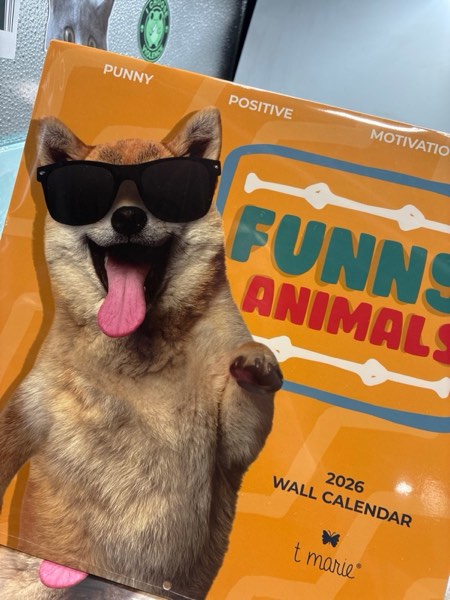 Condition photo showing New/Like New for T MARIE 2026 Funny Wall Calendar - Monthly 12” x 12” Motivational Calendar with 12 Months of Funny Animal Memes and Encouraging Puns