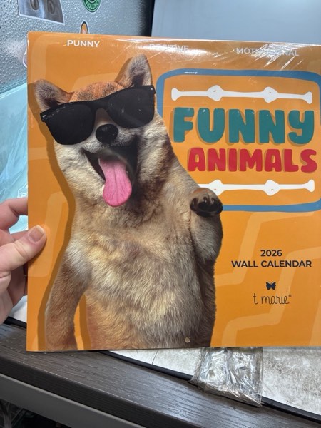 Condition photo showing New/Like New for T MARIE 2026 Funny Wall Calendar - Monthly 12” x 12” Motivational Calendar with 12 Months of Funny Animal Memes and Encouraging Puns