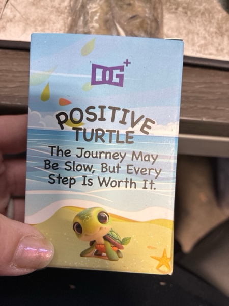 Condition photo showing New/Like New for Handmade Crochet Turtle Plush with Inspirational Message Sign, Green and Brown, Amigurumi Stuffed Animal (Turtle)
