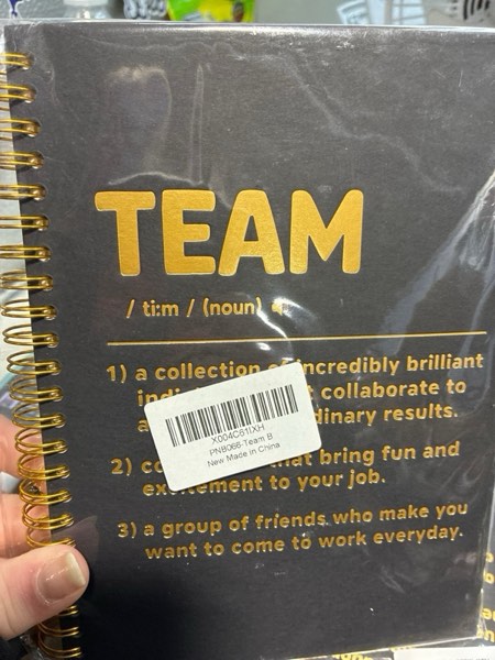 Condition photo showing New/Like New for Team Definition Funny Spiral Notebook, Fun Team Office Gifts for Coworker, Team Member Gifts for Colleague, New Job Present for Coworker Intern, Dream Team Thank You Present for Employee Staff PNB066