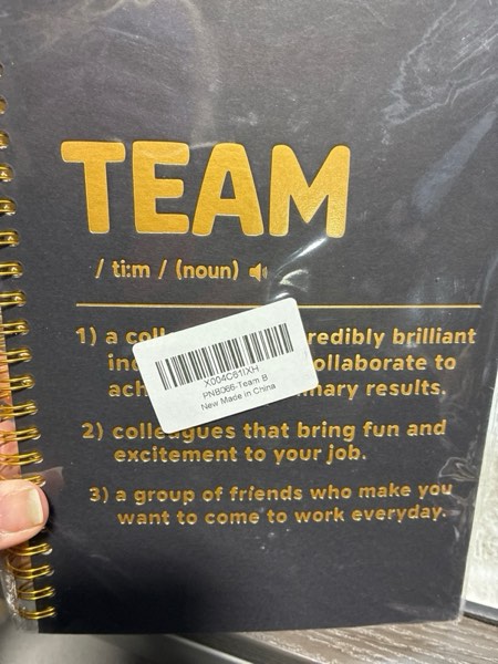 Condition photo showing New/Like New for Team Definition Funny Spiral Notebook, Fun Team Office Gifts for Coworker, Team Member Gifts for Colleague, New Job Present for Coworker Intern, Dream Team Thank You Present for Employee Staff PNB066