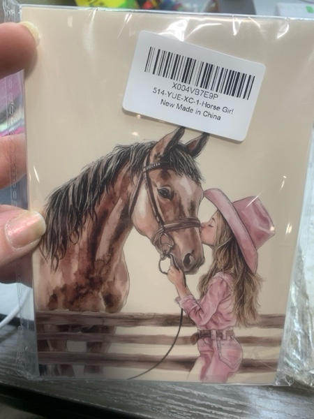 Condition photo showing New/Like New for Shrago Western Cowgirl Small Photo Album 4x6, Girls Horse Gifts, Girl and Horse Photo Album with 18 