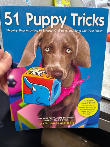 Condition photo showing Good Condition for 51 Puppy Tricks: Step-by-Step Activities to Engage, Challenge, and Bond with Your Puppy (Volume 3) (Dog Tricks and Training, 3)