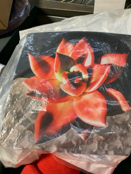 Condition photo showing New/Like New for Mystery Item 